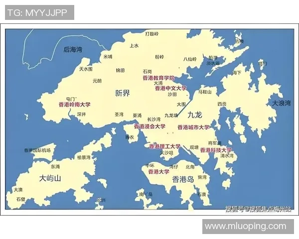 全国锦标赛回顾:深圳乒乓球队展现出色状态与潜力分析 全国锦标赛回顾:深圳乒乓球队展现出色状态与潜力分析