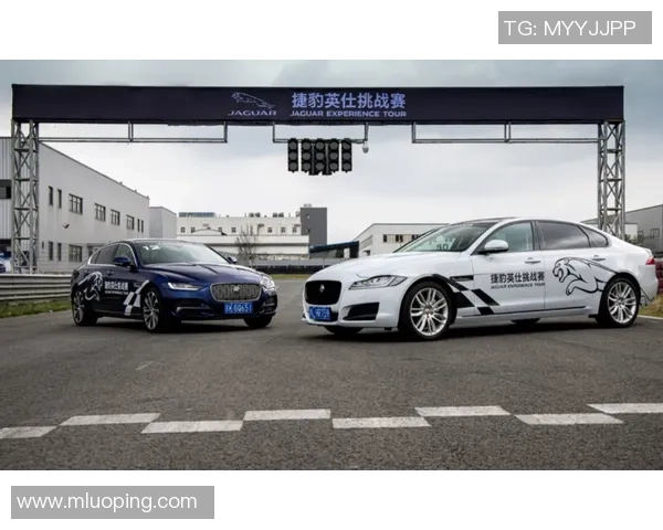 成都足球队在挑战赛中的速度表现分析与点评