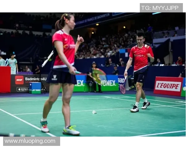 赛后分析：杭州羽毛球队与武汉羽毛球队速度对比及战术探讨